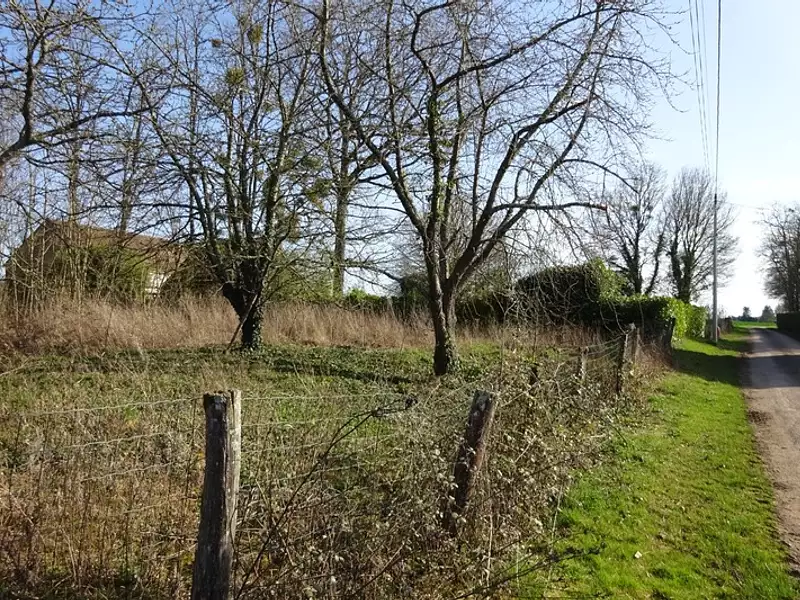 Terrain, 1 341 m²