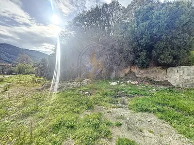 Terrain, 2 259 m²