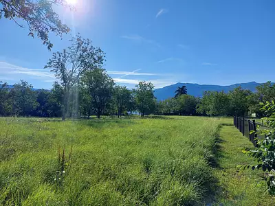 Terrain, 1 350 m²