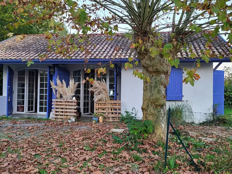 Maison, 215 m²