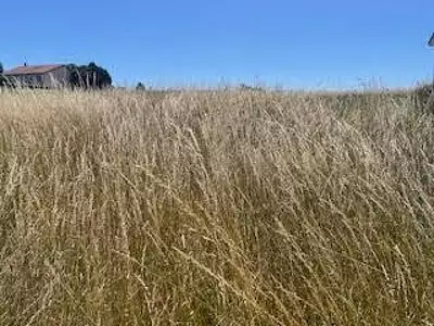 Terrain, 1 054 m²