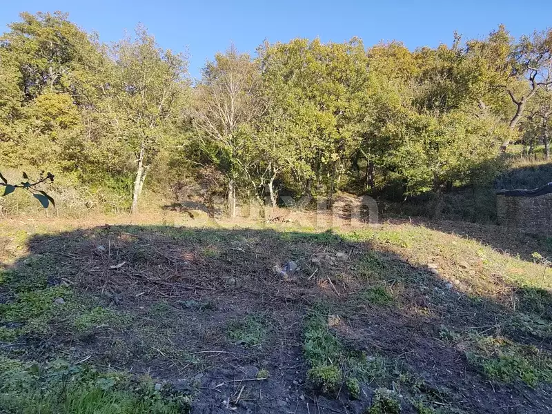 Terrain, 1 460 m²