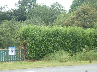 Terrain, 2 066 m²