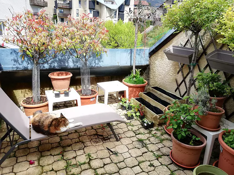 Appartement, 126,42 m²