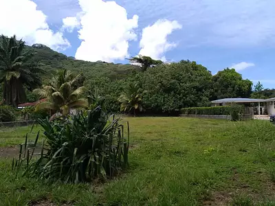 Terrain