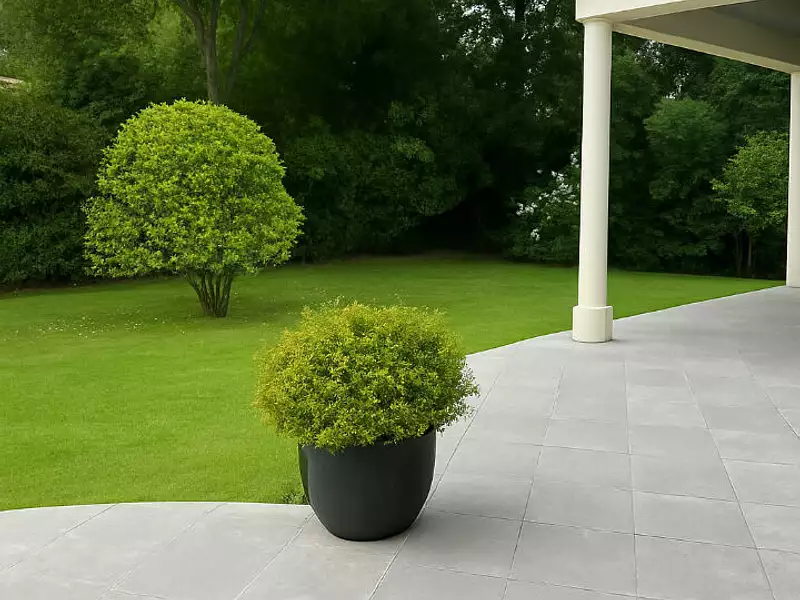 Maison, 245 m²