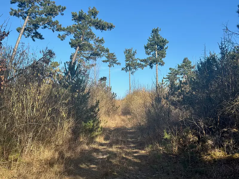Terrain, 90 162 m²