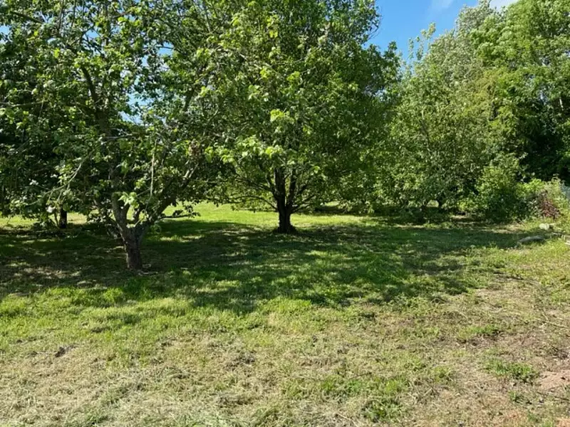 Maison, 250 m²