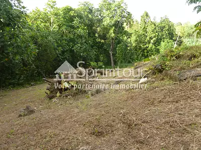 Terrain, 1 200 m²