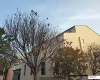 Appartement, 26,32 m²