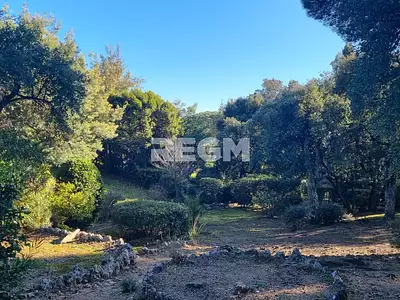 Terrain, 1 345 m²
