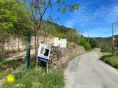 Terrain