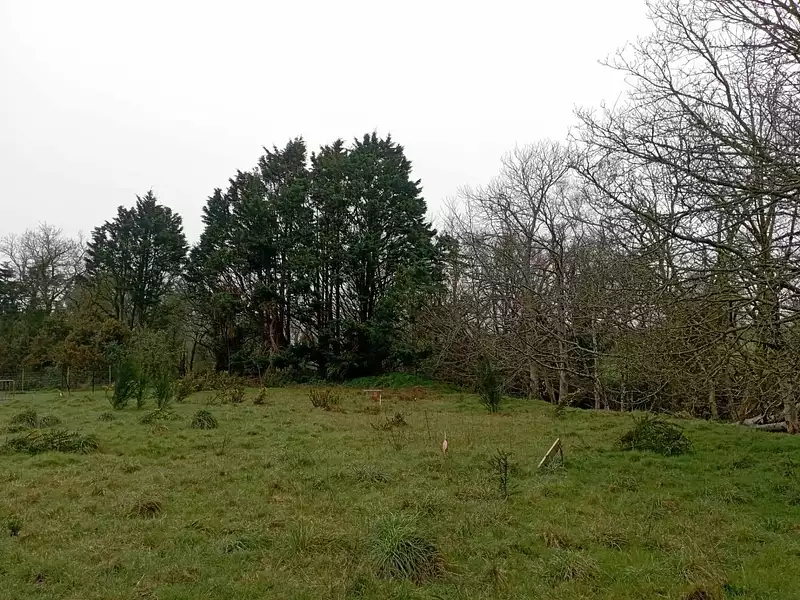 Terrain, 1 742 m²