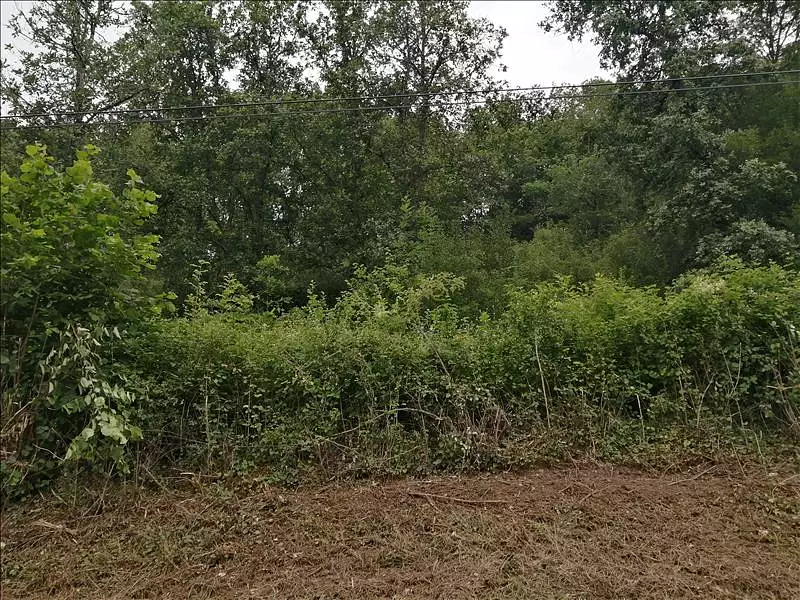 Terrain, 982 m²