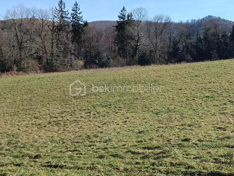 Terrain, 1 230 m²