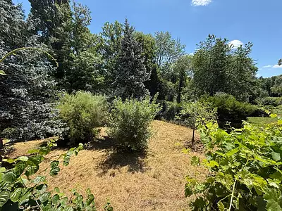 Maison, 209 m²