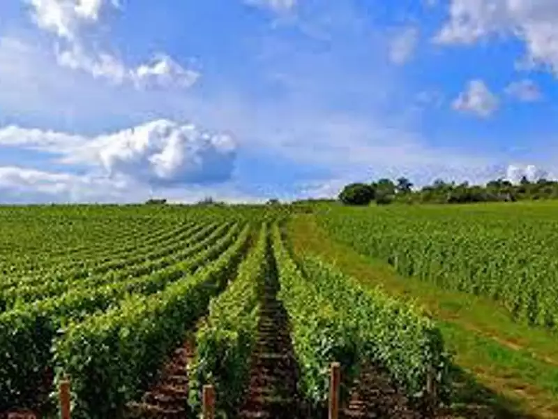 Terrain, 128 620 m²