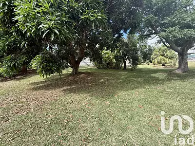 Terrain, 667 m²