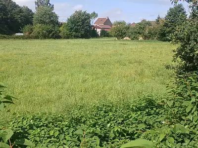 Terrain, 8 589 m²