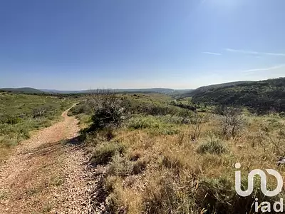 Terrain, 263 365 m²