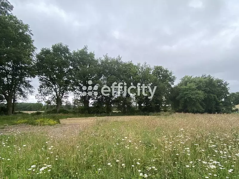 Terrain, 706 m²