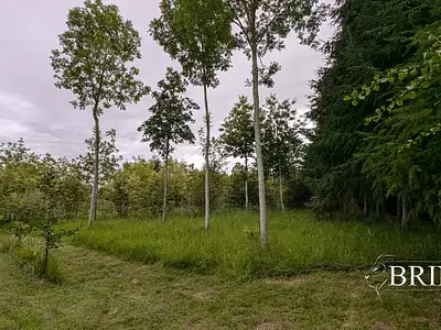 Terrain, 47 800 m²