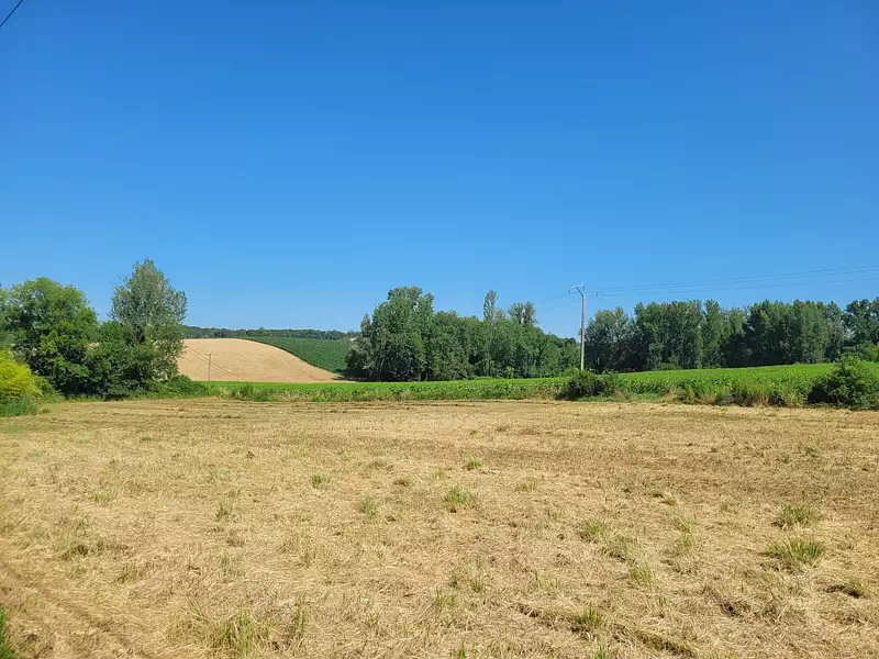 Terrain, 1 210 m²