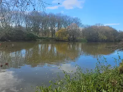 Appartement, 67,4 m²