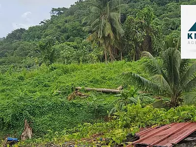Terrain, 2 300 m²