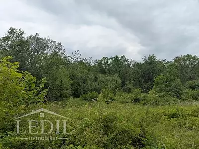 Terrain, 10 000 m²