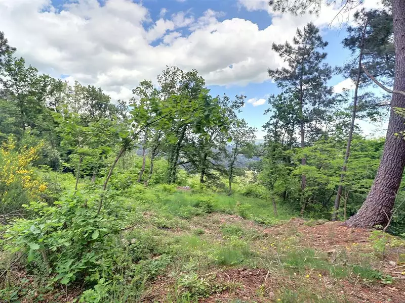 Terrain, 1 748 m²