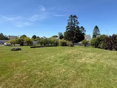 Terrain, 557 m²