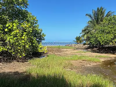 Terrain, 1 650 m²
