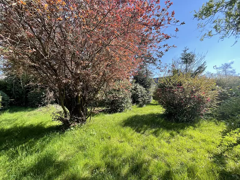 Terrain, 1 038 m²