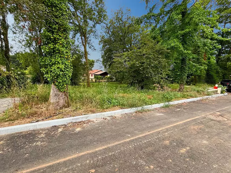 Terrain, 646 m²