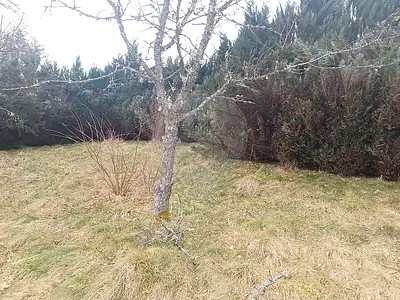 Terrain, 867 m²