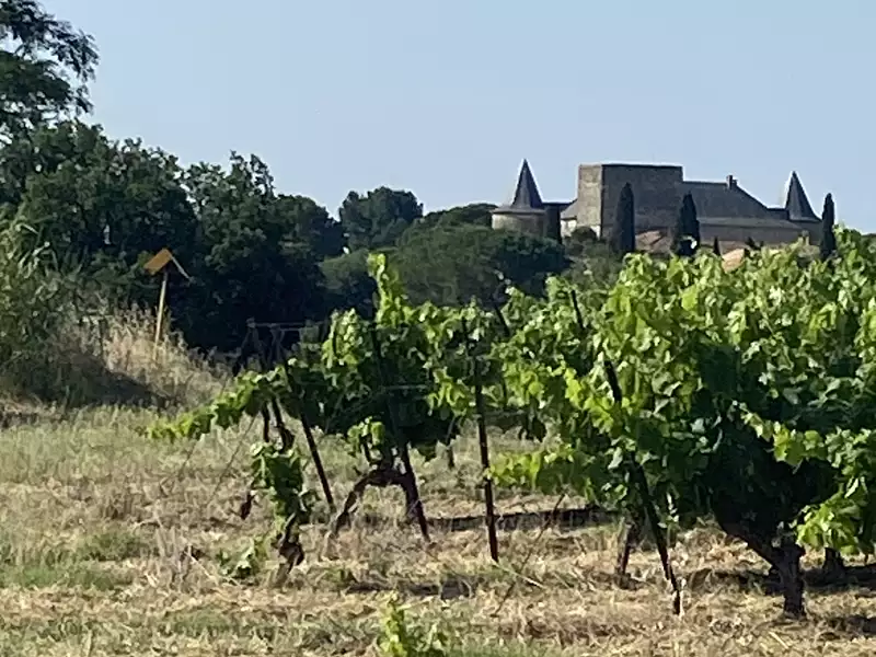 Terrain, 216 211 m²