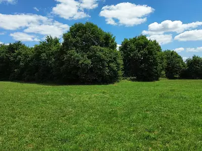 Terrain, 5 795 m²