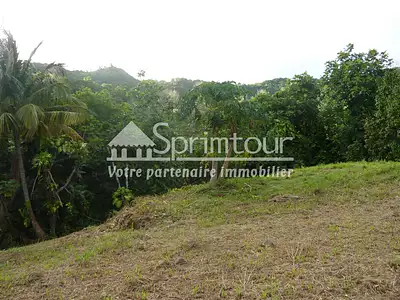 Terrain, 1 200 m²