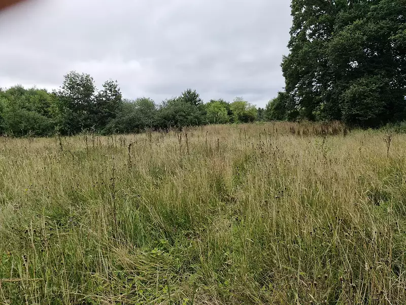 Terrain, 10 461 m²