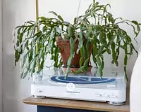 Appartement, 57,7 m²