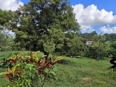 Terrain, 585 m²