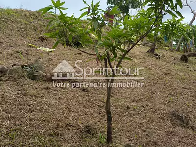 Terrain, 1 200 m²