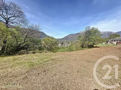 Terrain