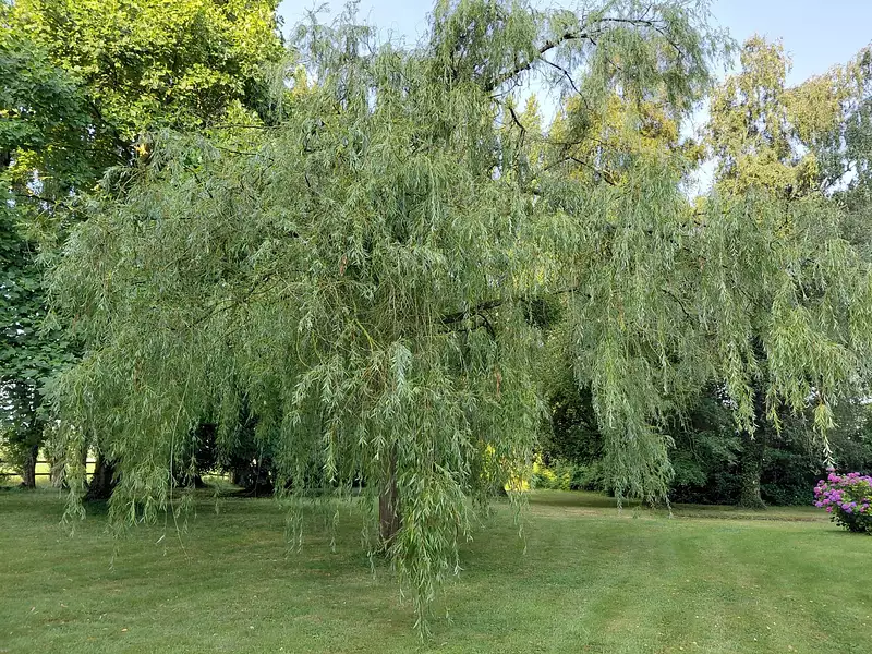 Maison, 121 m²