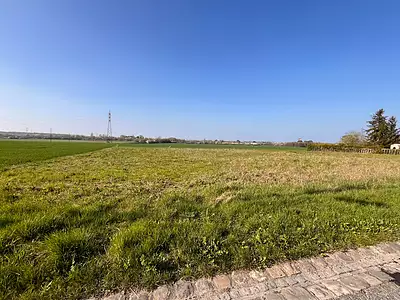 Terrain