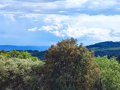 Terrain, 1 013 m²