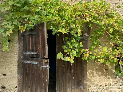Maison, 193 m²
