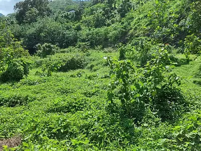 Terrain, 895 m²