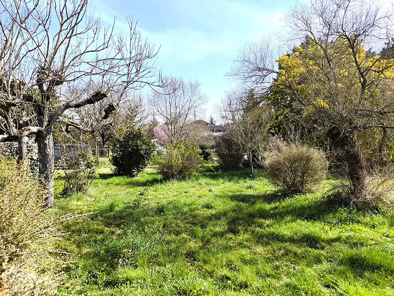 Terrain, 1 360 m²